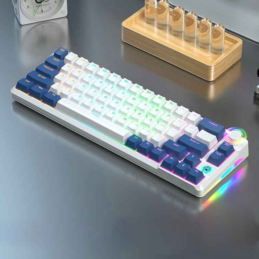 66-Key RGB Mechanical Keyboard | Compact & Custom