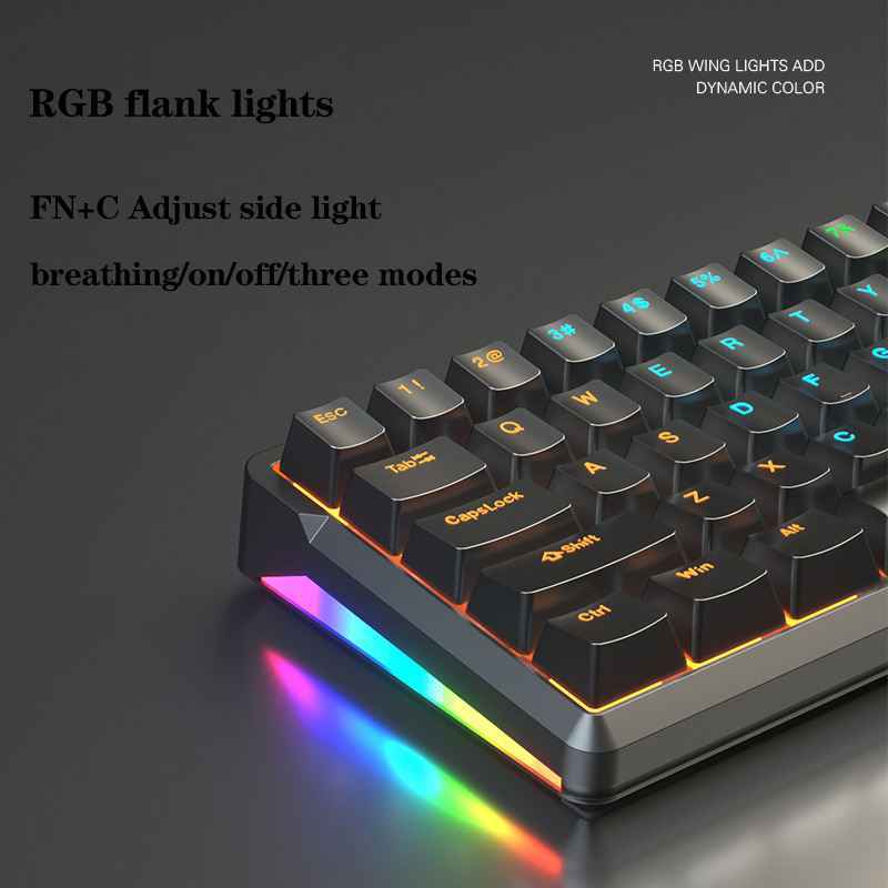 66-Key RGB Mechanical Keyboard | Compact & Custom
