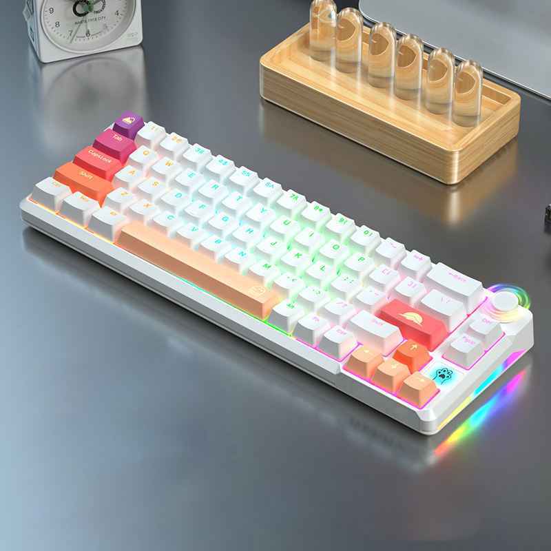 66-Key RGB Mechanical Keyboard | Compact & Custom