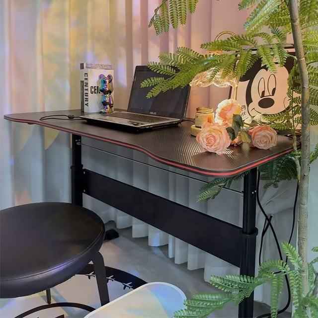 RGB Gaming Desk – Ergonomic Height Adjustable Gaming Table