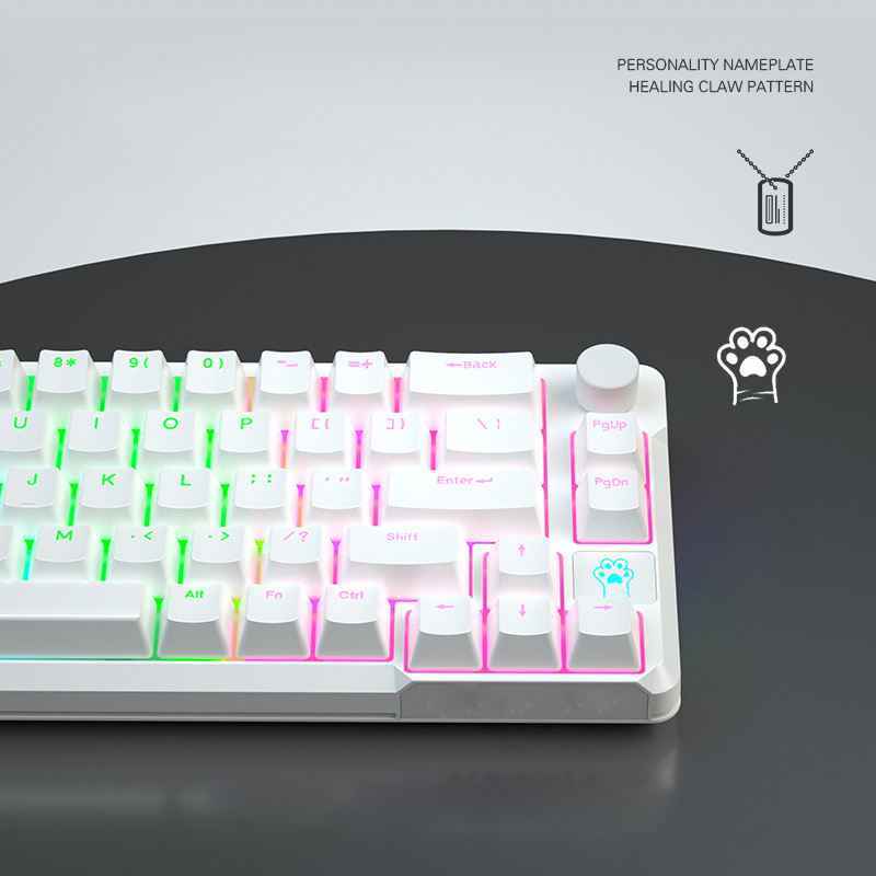 66-Key RGB Mechanical Keyboard | Compact & Custom